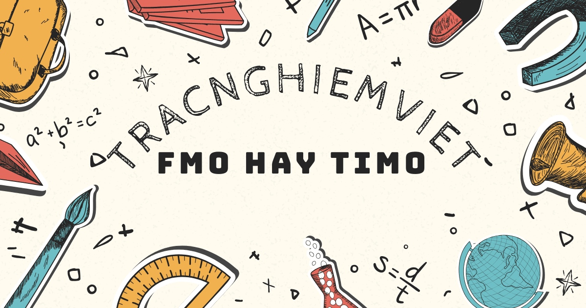kỳ thi toán quốc tế FMO và TIMO
